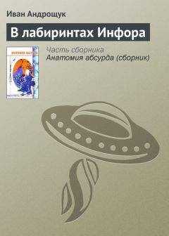 Иван Андрощук - В лабиринтах Инфора