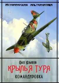 Олег Языков - Крылья Тура. Командировка [2 том полностью]