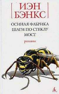 Иэн Бэнкс - Шаги по стеклу