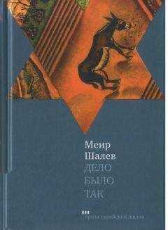 Меир Шалев - Дело было так