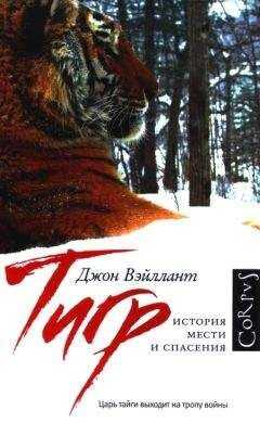 Джон Вэйллант - Тигр. История мести и спасения