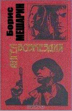Борис Мишарин - Ангел возмездия