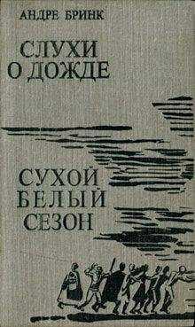 Андре Бринк - Слухи о дожде. Сухой белый сезон