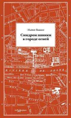 Матей Вишнек - Синдром паники в городе огней