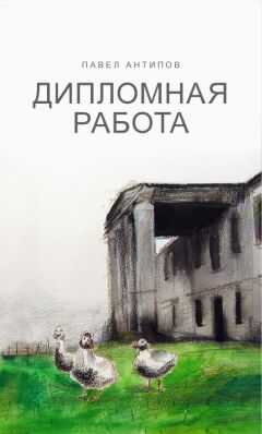 Павел Антипов - Дипломная работа