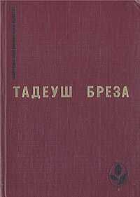 Тадеуш Бреза - Лабиринт