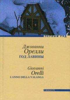 Джованни Орелли - Год лавины