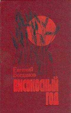 Евгений Богданов - Високосный год: Повести