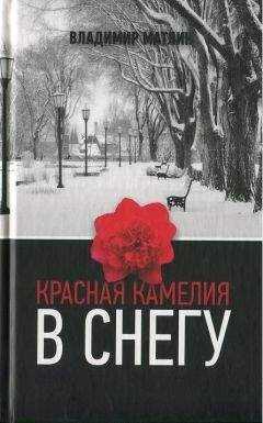 Владимир Матлин - Красная камелия в снегу