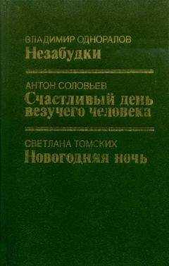Светлана Томских - Новогодняя ночь