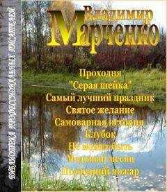 Владимир Марченко - Последний пожар