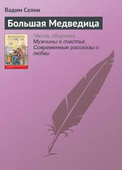 Вадим Селин - Большая Медведица