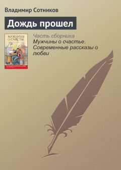Владимир Сотников - Дождь прошел