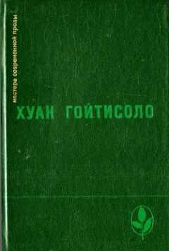 Хуан Гойтисоло - Испытание совести