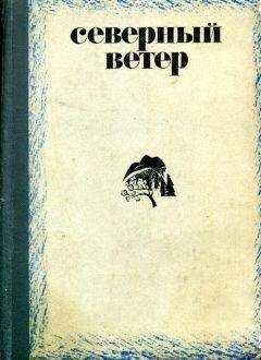 Виктор Потанин - Северный ветер