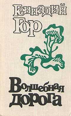 Геннадий Гор - Волшебная дорога (сборник)