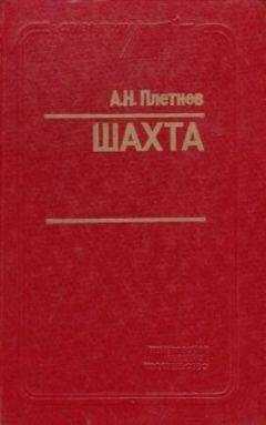 Александр Плетнёв - Шахта