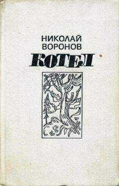Николай Воронов - Котел. Книга первая