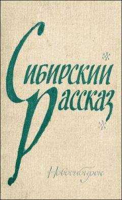 Виль Липатов - Самолетный кочегар
