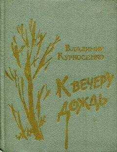 Владимир Курносенко - К вечеру дождь