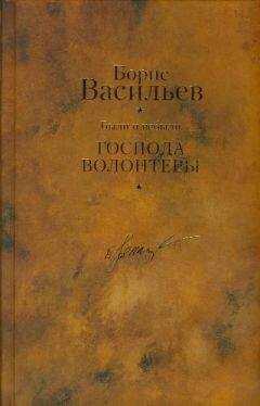 Борис Васильев - Были и небыли. Книга 1. Господа волонтеры