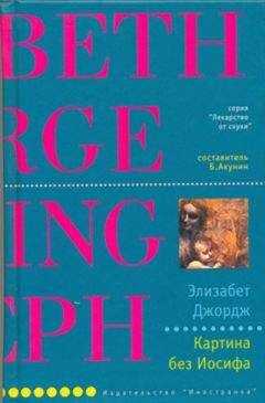 Элизабет Джордж - Картина без Иосифа