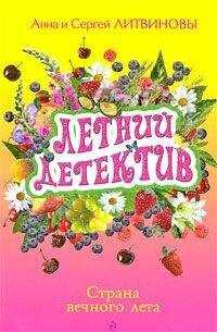 Анна и Сергей Литвиновы - Визит старой дамы