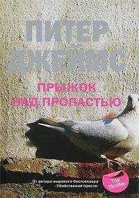 Питер Джеймс - Прыжок над пропастью