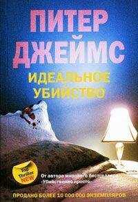 Питер Джеймс - Идеальное убийство
