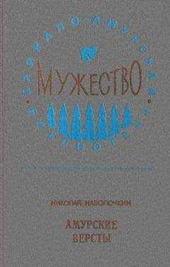 Николай Наволочкин - Амурские версты