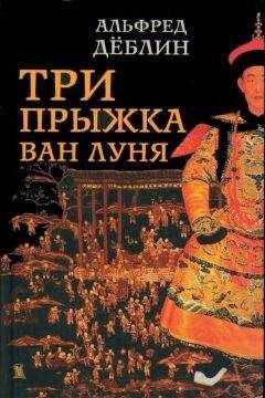 Альфред Дёблин - Три прыжка Ван Луня. Китайский роман