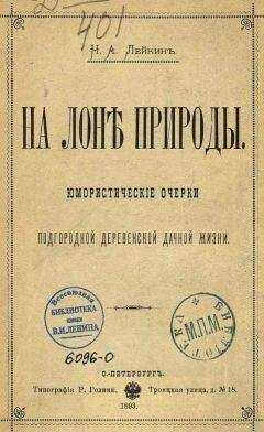 Николай Лейкин - В усадьбе