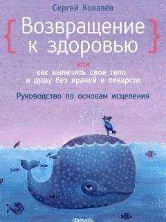 Сергей Ковалёв - Возвращение к здоровью или как вылечить свое тело и душу без врачей и лекарств. Руководство по основам исцеления
