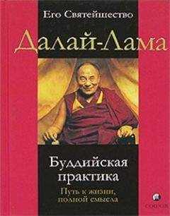 Далай-лама XIV - Буддийская практика. Путь к жизни полной смысла