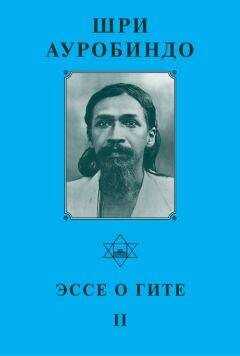 Шри Ауробиндо - Шри Ауробиндо. Эссе о Гите – II
