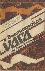 Б. Воронин - Вьетнамская йога при болях в спине