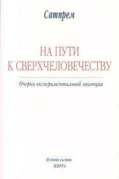 Сатпрем - НА ПУТИ К СВЕРХЧЕЛОВЕЧЕСТВУ: Очерки экспериментальной эволюции