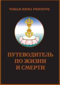 Чокьи Ринпоче - Путеводитель по жизни и смерти