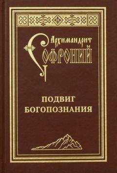 Софроний Сахаров - Подвиг богопознания. Письма с Афона (к Д. Бальфуру)