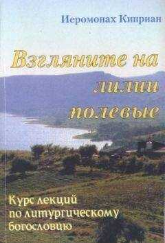 Киприан Керн - «Взгляните на лилии полевые…» Курс лекций по литургическому богословию