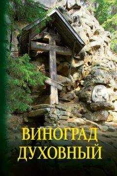 О. Петруня - Виноград духовный. Сборник кратких поучений из Священного Писания и святоотеческих сочинений