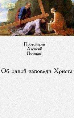Алексий Потокин - Об одной заповеди Христа