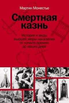Мартин Монестье - Смертная казнь. История и виды высшей меры наказания от начала времен до наших дней