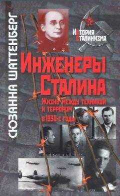 Сюзанна Шаттенберг - Инженеры Сталина: Жизнь между техникой и террором в 1930-е годы