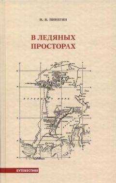 Н. Пинегин - В ледяных просторах