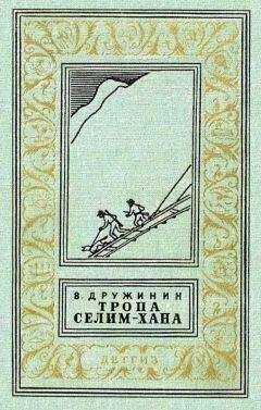 Владимир Дружинин - Тропа Селим-хана (сборник)