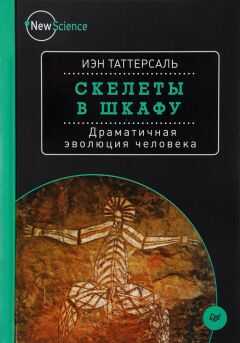 Иэн Таттерсаль - Скелеты в шкафу. Драматичная эволюция человека