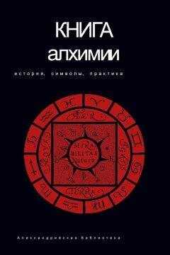 Владимир Рохмистров - Книга алхимии. История, символы, практика