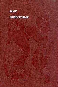 Игорь Акимушкин - Мир животных. Том 2