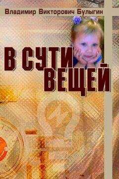 Владимир Булыгин - В сути вещей
